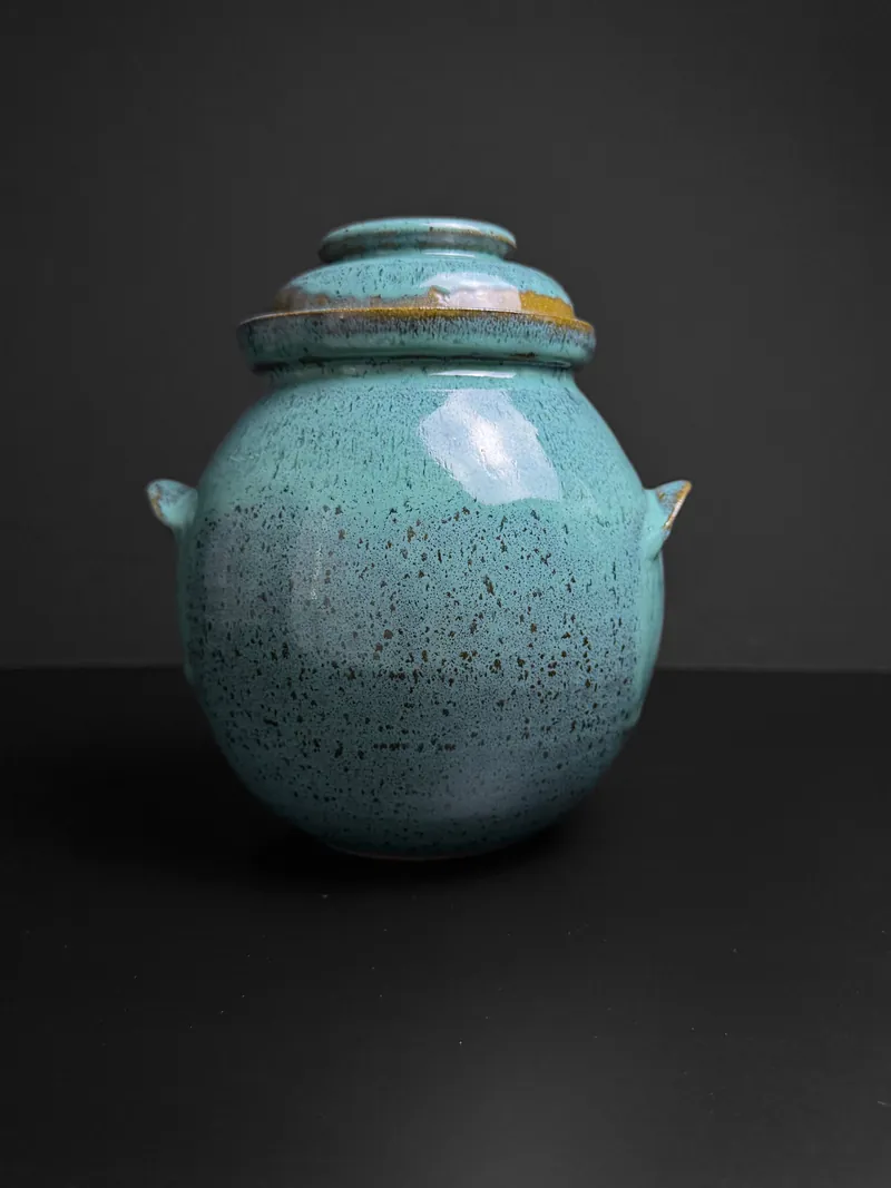 Speckled turquoise lidded jar with lug handles
